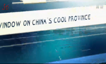 这就是黑龙江20200914