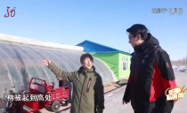 相亲相爱
