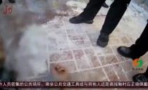 共度晨光