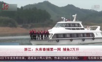 共度晨光