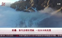 共度晨光
