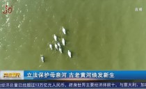 共度晨光